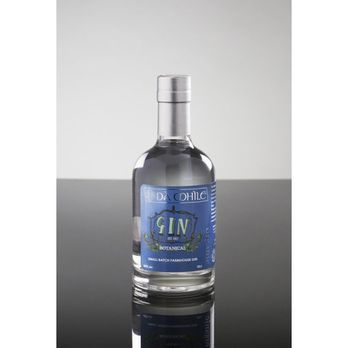 Are You a Gin Lover? Try out These Welsh Gin