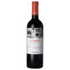 Y Deitholiad Chwaethus | Connoisseurs Choice Wine Case 2024