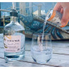 Tir a Mor Welsh Dry Gin, Seaweed & Spice, 40%, 70cl