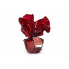 Blas ar Fwyd, Christmas Pudding, Classic Red 900g